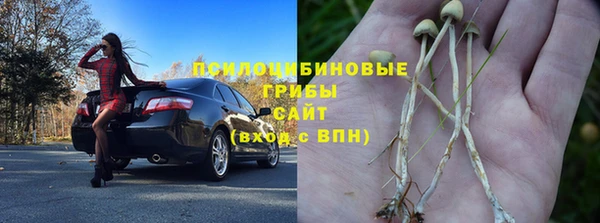 спиды Ростов