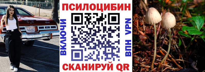 OMG зеркало  Серафимович  Псилоцибиновые грибы GOLDEN TEACHER 